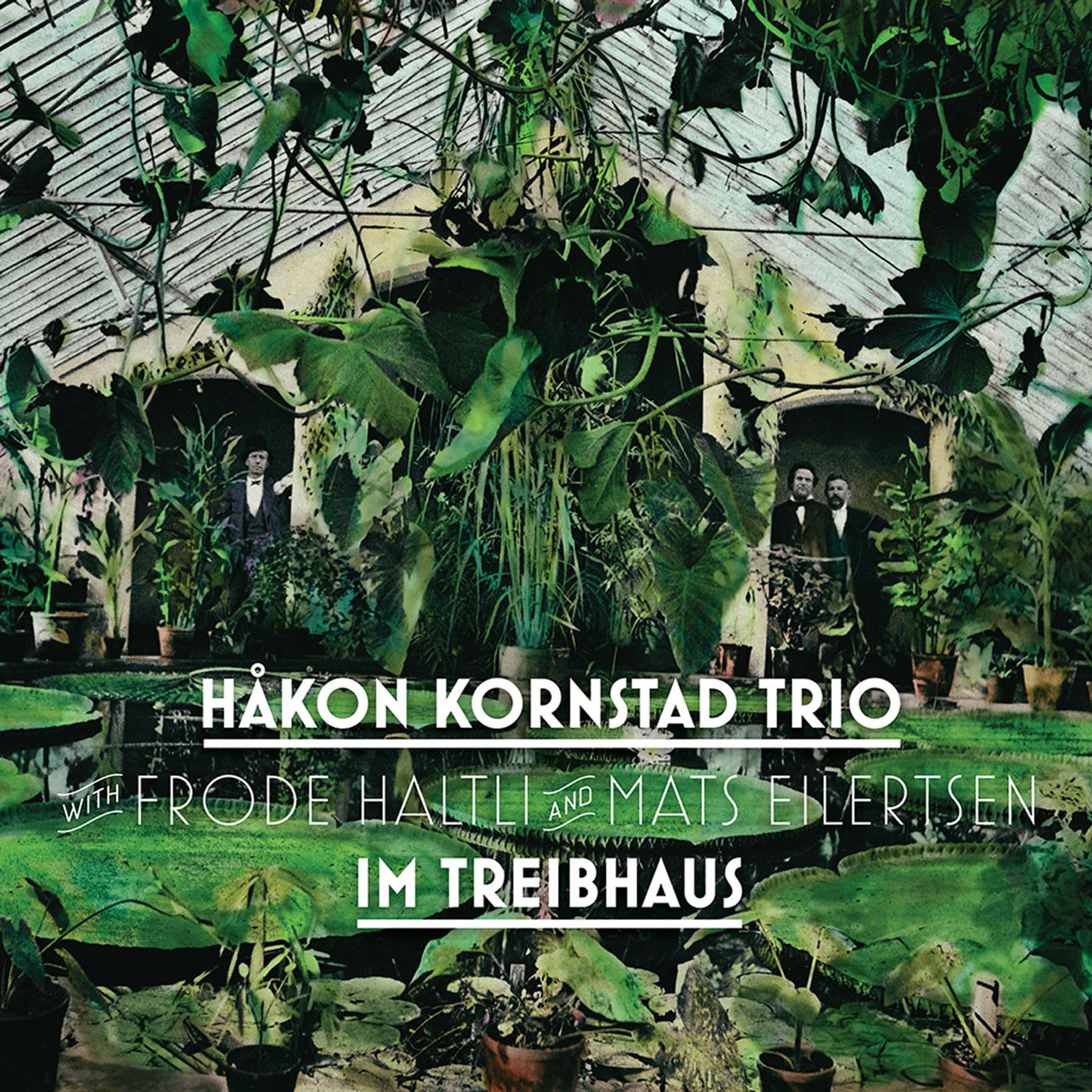 Håkon Kornstad Trio: "Im Treibhaus"