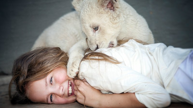 Eine Liebe fürs Leben: "Mia und der weiße Löwe"-Filmszene