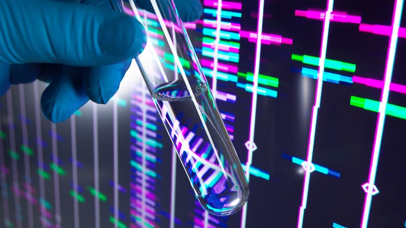 Eine Hand hält ein Reagenzglas vor einen Bildschirm | Bild: picture alliance / Westend61 | Andrew Brookes Eine Hand hält ein Reagenzglas vor einen Bildschirm