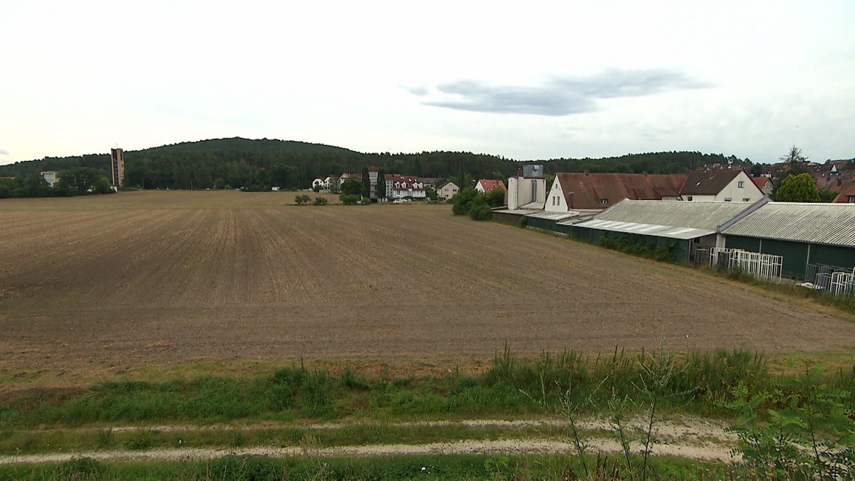 Blick auf ein Feld neben einer Ortschaft.