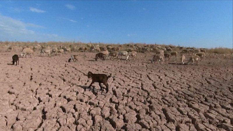 Der Klimawandel führt in vielen Ländern zu extremen Dürren.