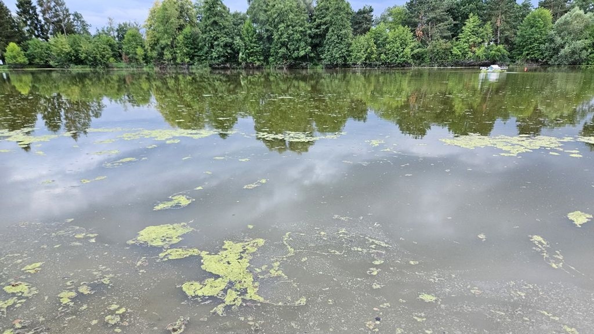 Blaualgen im Badesee: Erneut viele Warnungen in Bayern