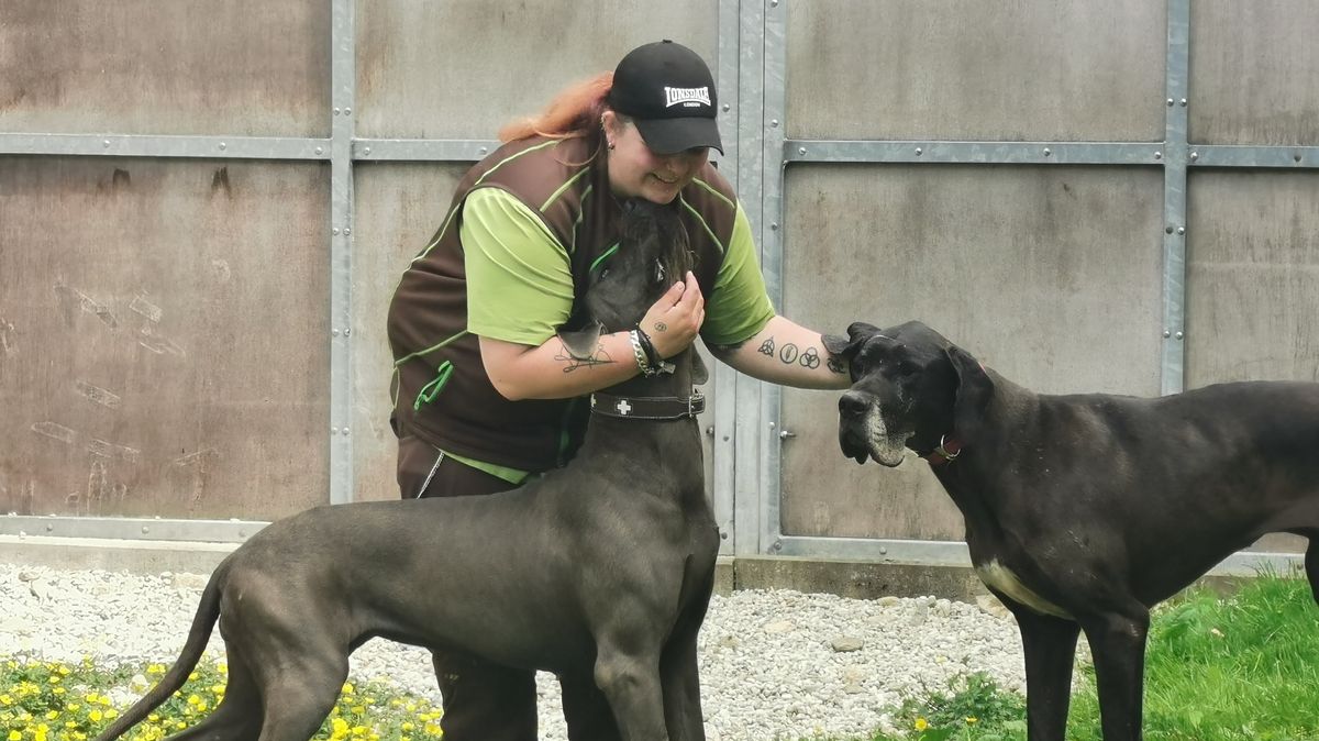 Behorden Beschlagnahmen 1 Tiere Einer Halterin Br24