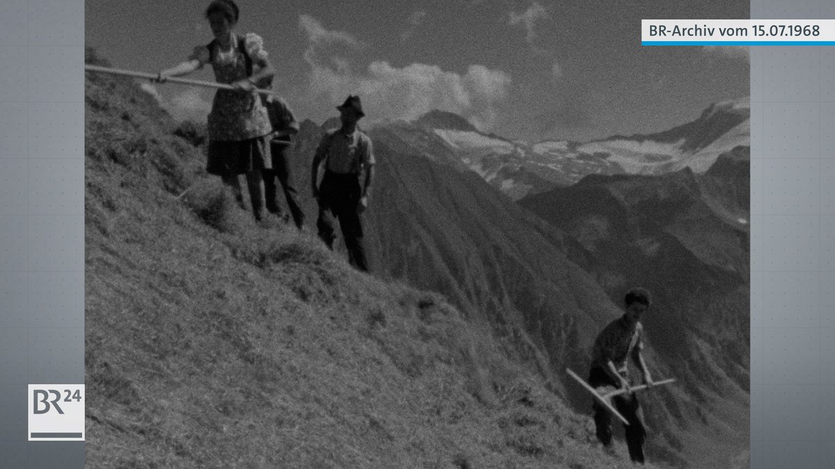 Vier Personen beim Sammeln von Heu vor Bergpanorama