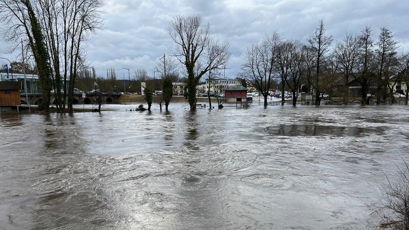 Hochwasser in Cham am Regen (23.02.2026). | Bild: BR/Konstantin König Hochwasser in Cham am Regen (23.02.2026).