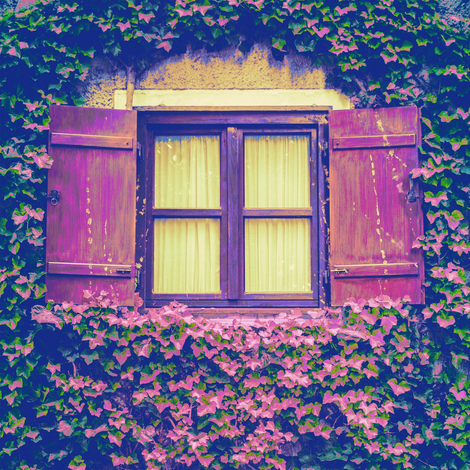 Sophia Merwald: Sperrgut