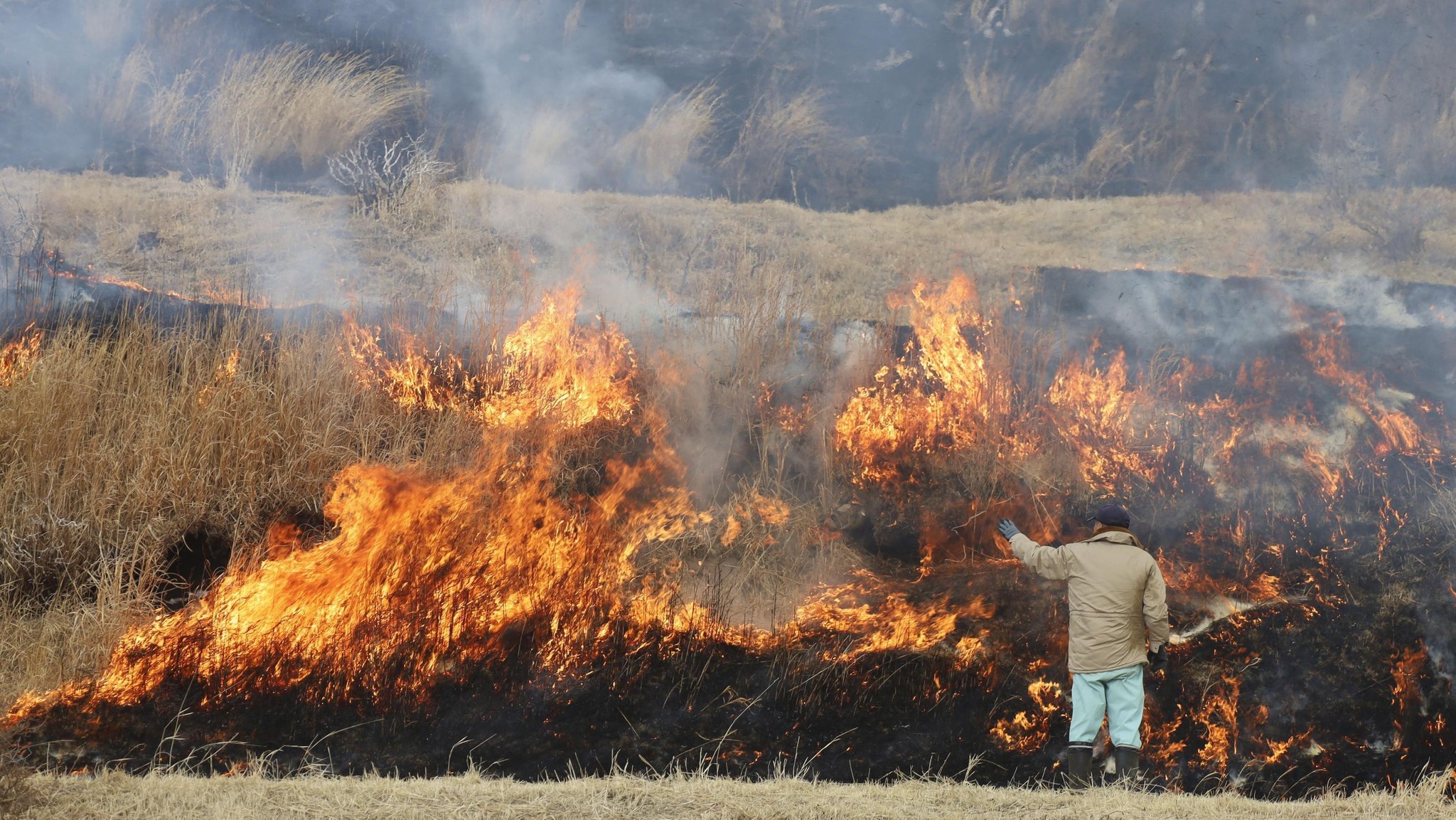 Japan: 2.000 Feuerwehrleute im Kampf gegen Riesenfeuer