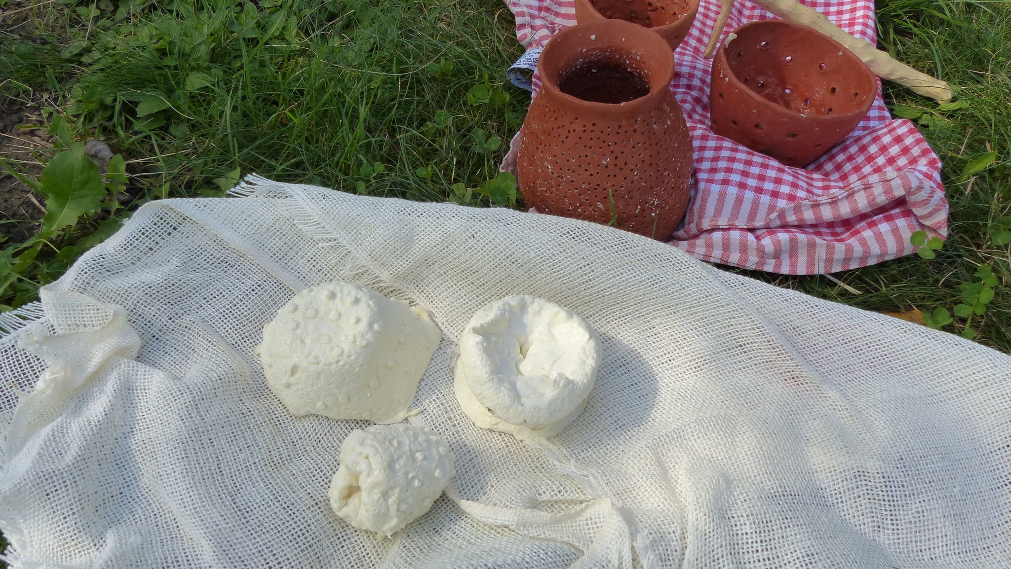 Käse machen wie in der Steinzeit