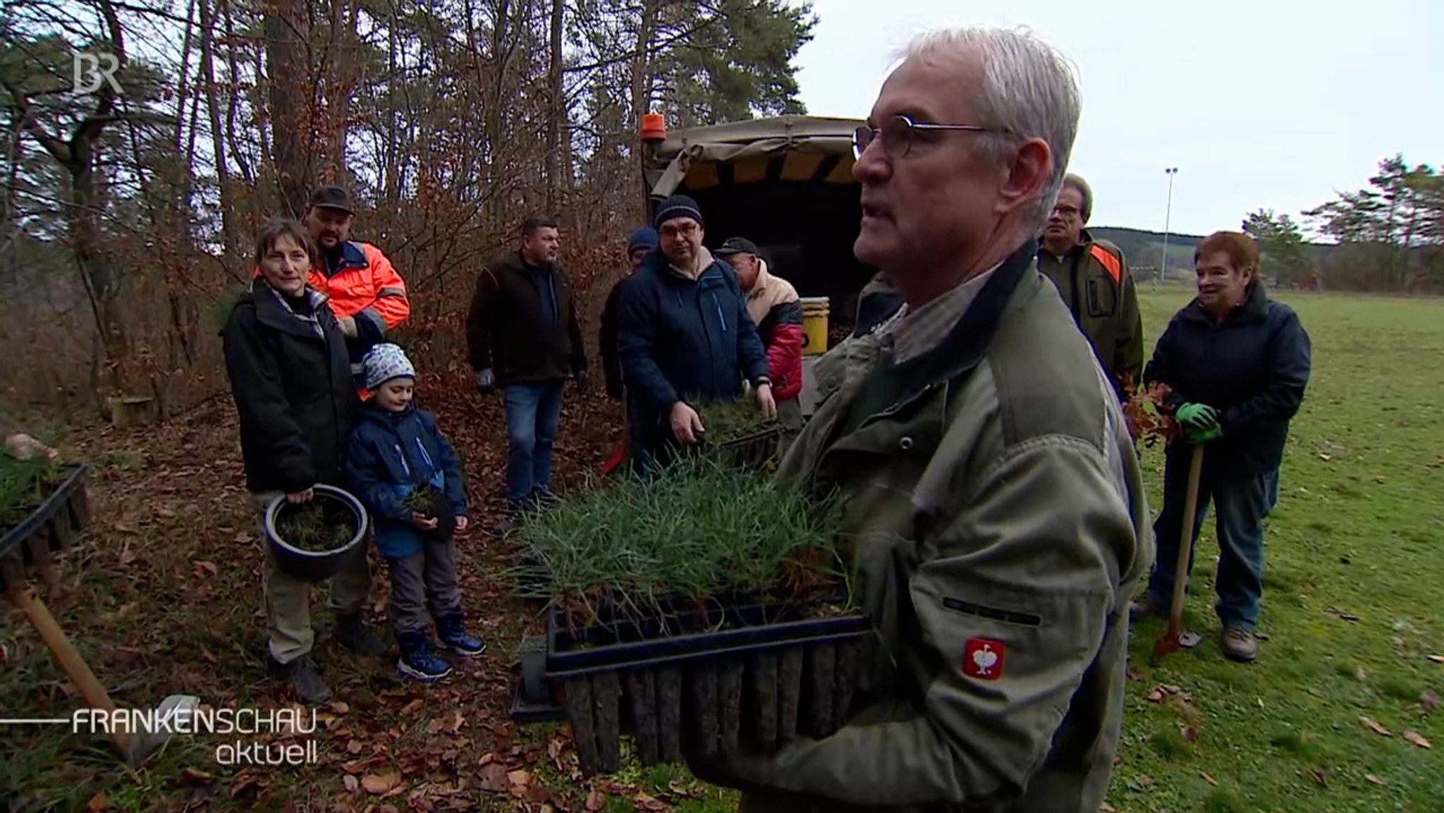 Freiwillige pflanzen Kiefern im Leinacher Wald.