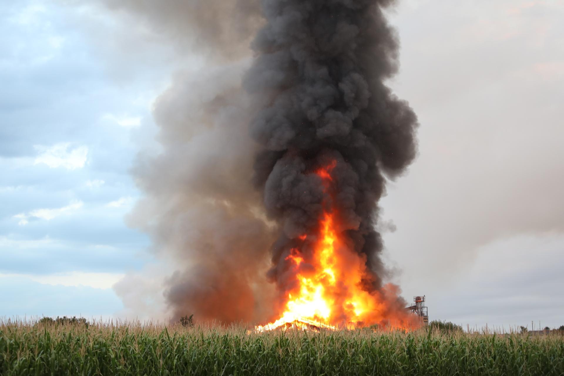 Fire in pigsty: More than 1,600 animals perish