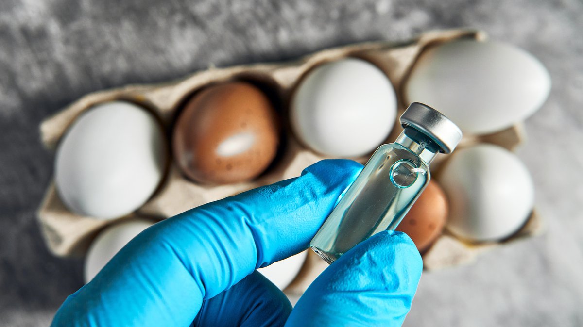 Vogelgrippe: Ist eine Impfung die Lösung?