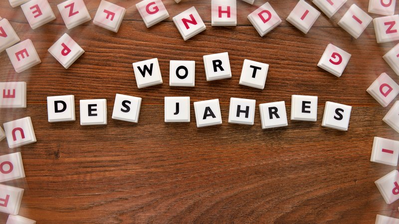 Die Gesellschaft für deutsche Sprache in Wiesbaden hat das "Wort des Jahres" bekanntgegeben.