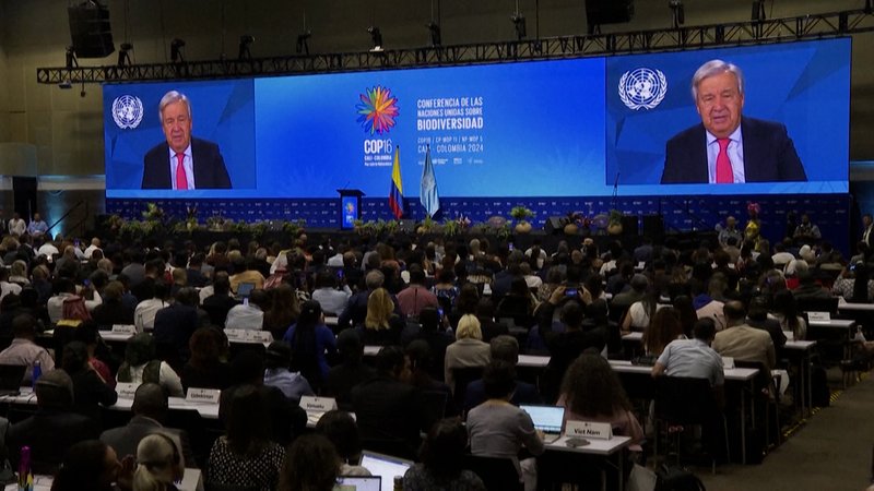 COP 16 in Kolumbien | Bild: Bayerischer Rundfunk 2024 COP 16 in Kolumbien