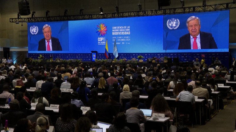 UN-Biodiversitätsgipfel: Wo steht die Welt beim Artenschutz? | Bild: Bayerischer Rundfunk 2024 UN-Biodiversitätsgipfel: Wo steht die Welt beim Artenschutz?