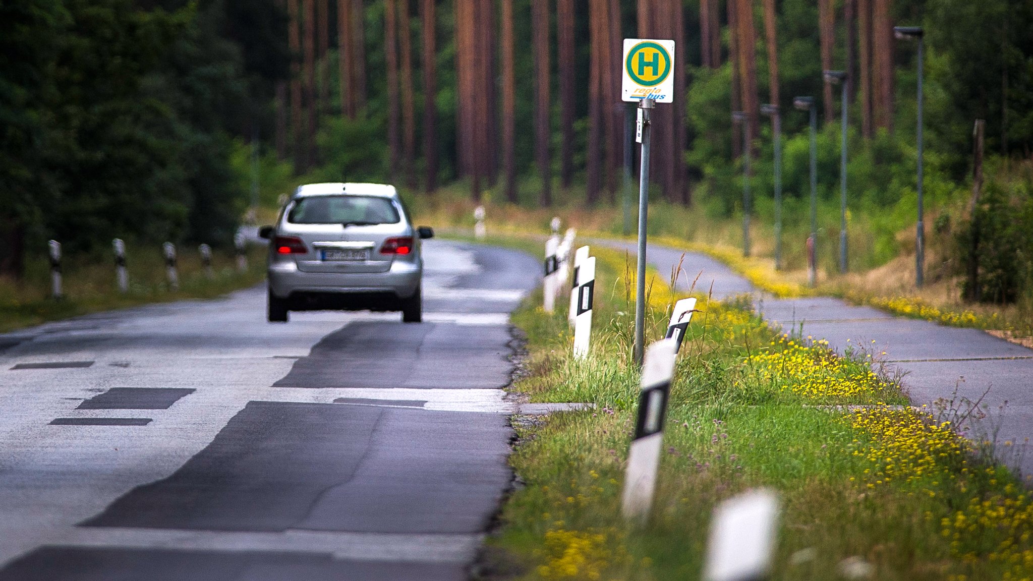 Auto fährt auf der Landstraße durch den Wald an einer leeren Bushaltestelle vorbei