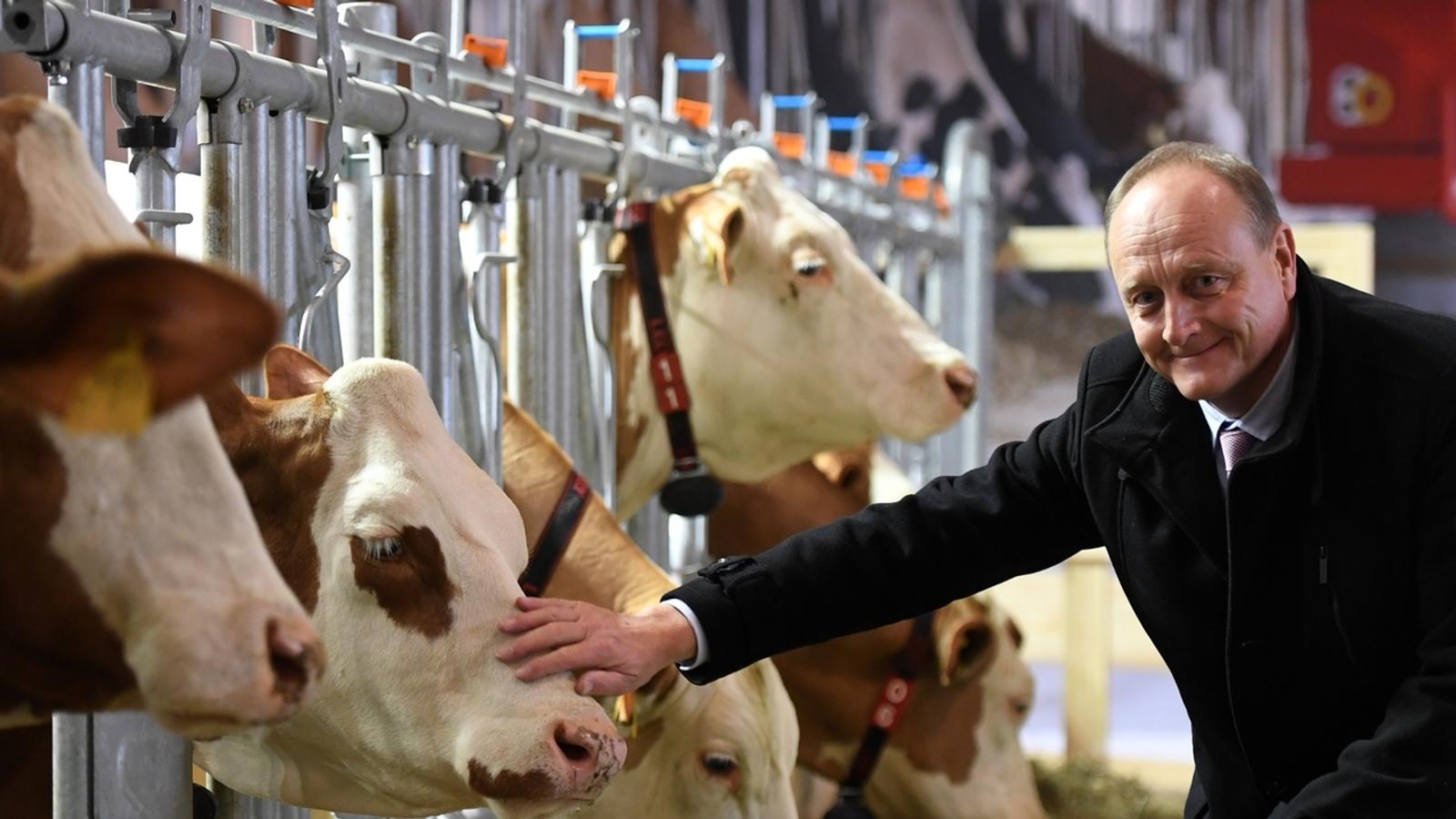 Bauernverband und Landwirtschaft | BR24