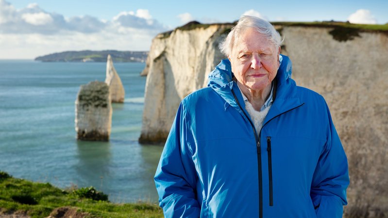 Sir David Attenborough an der Südküste von England in "Ozean mit David Attenborough" (Filmszene) | Bild: Conor McDonnell Sir David Attenborough an der Südküste von England in "Ozean mit David Attenborough" (Filmszene)