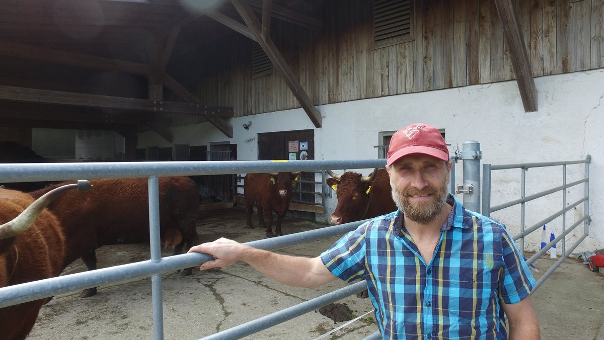Bio-Bauer Schmid vor seinen Rindern.