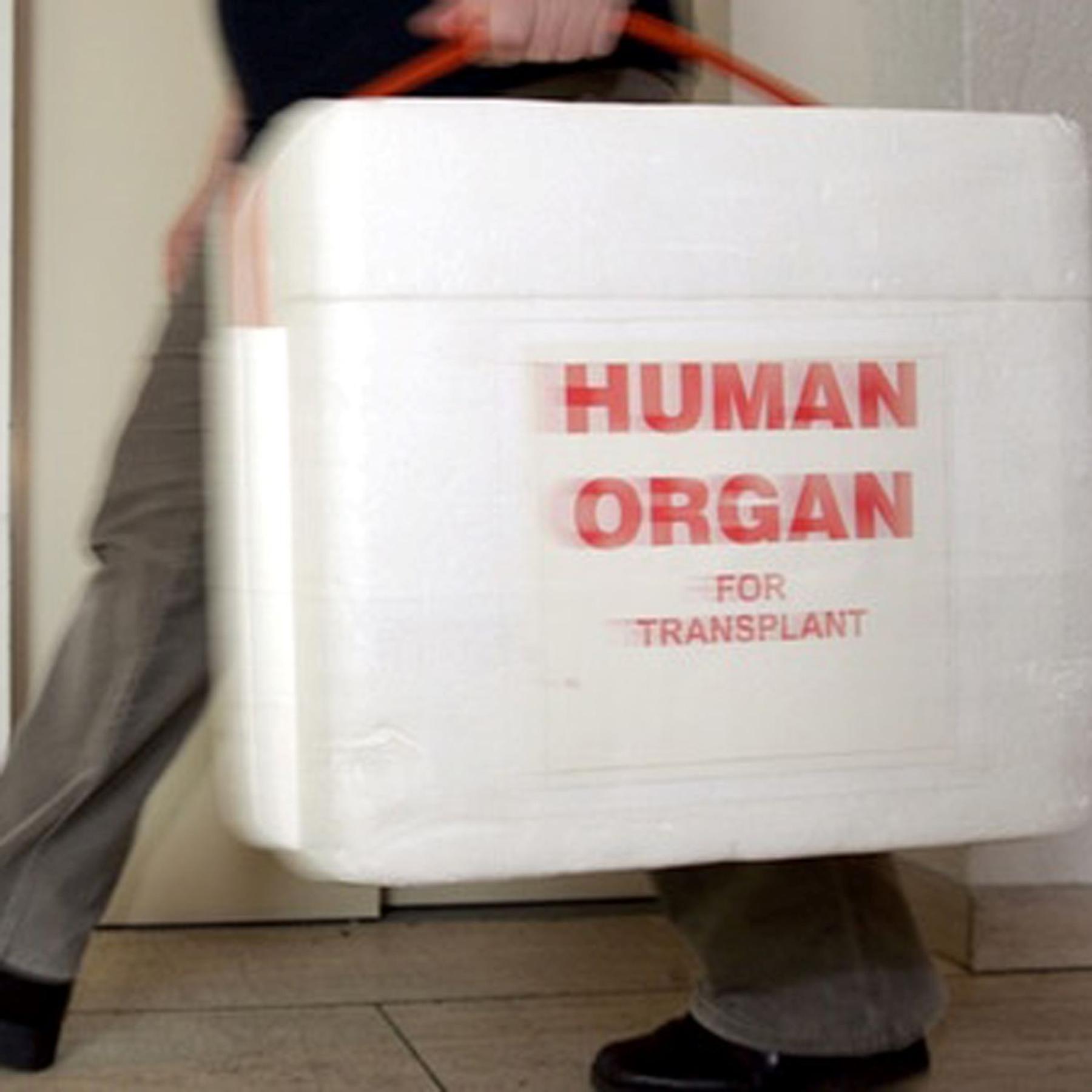 Organspende und Hirntod