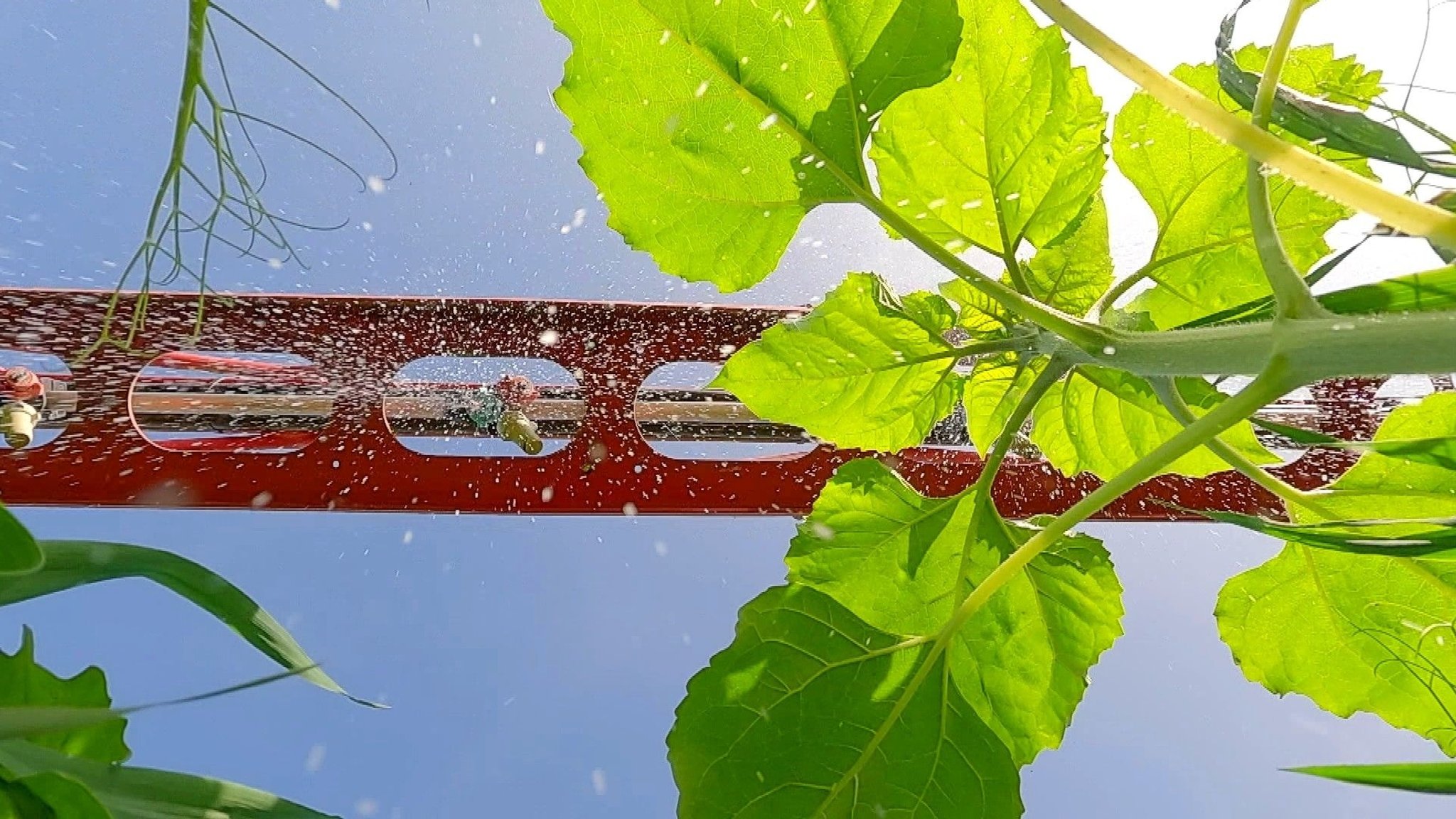 Unverzichtbar oder unverantwortlich – Glyphosat ist umstritten. Heute entscheidet die EU über die weitere Zulassung. Krebserregend und gefährlich für die Umwelt, sagen Kritiker. Wichtig für den Erosionsschutz, sagt Landwirt Stephan Obermaier.