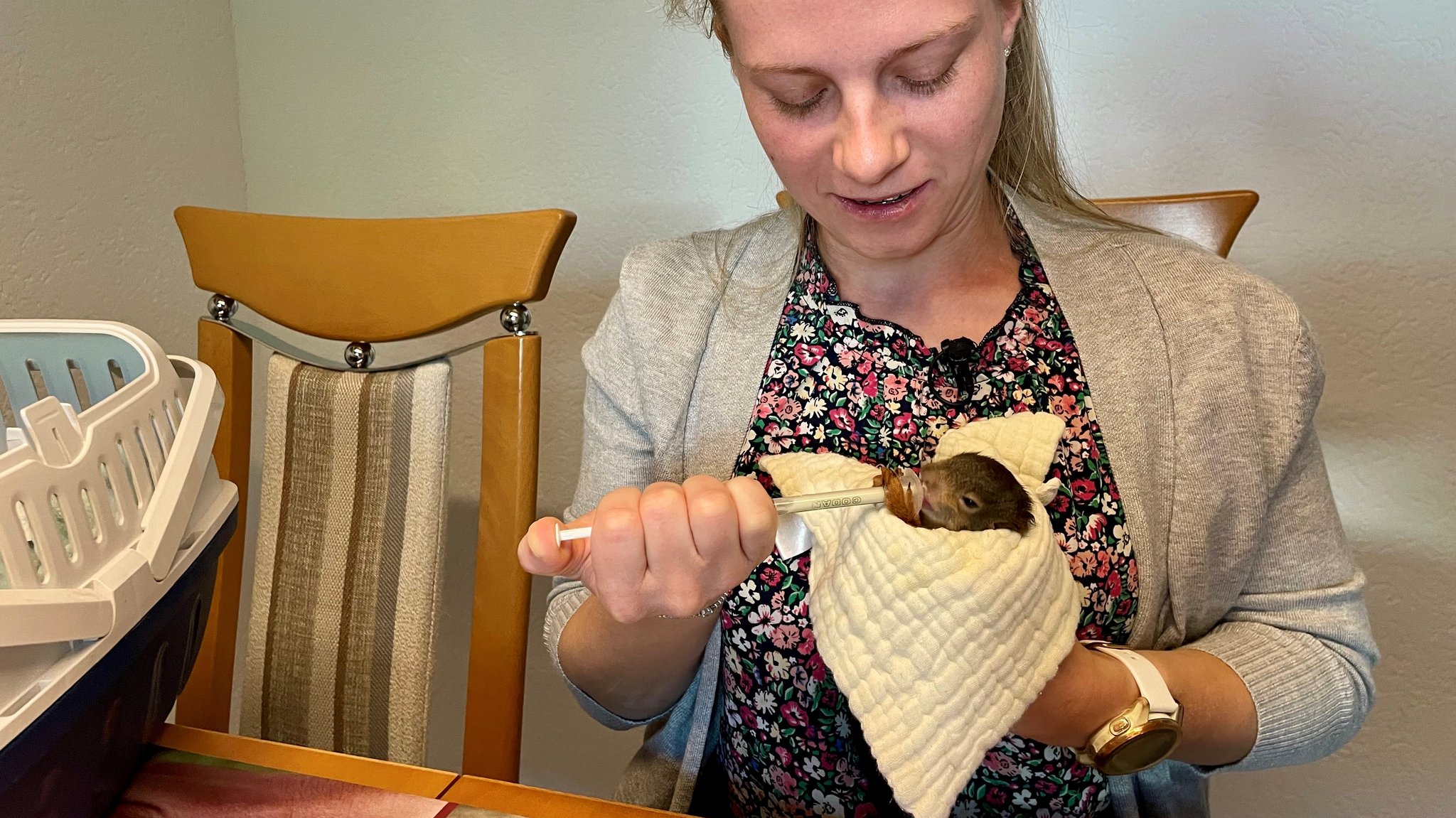 Spritze gegen Hunger: Bianca Egelkraut füttert das Eichhörnchenbaby Karin.  