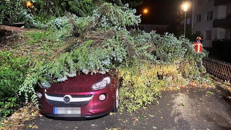 In Landshut hat ein Baum ein Auto unter sich begraben