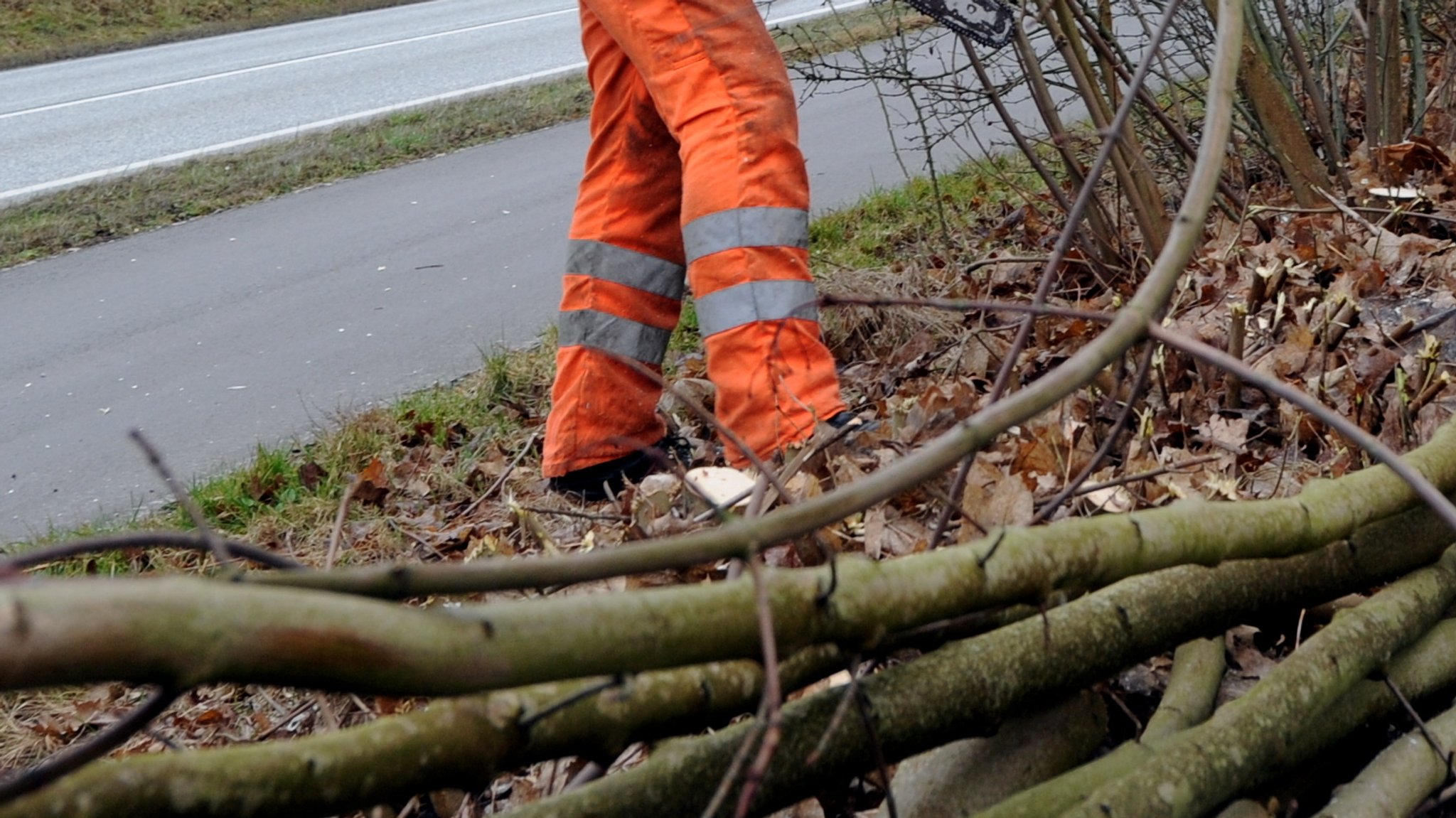 Ein Straßenmeisterei-Arbeiter in einem Gebüsch neben einer Straße 