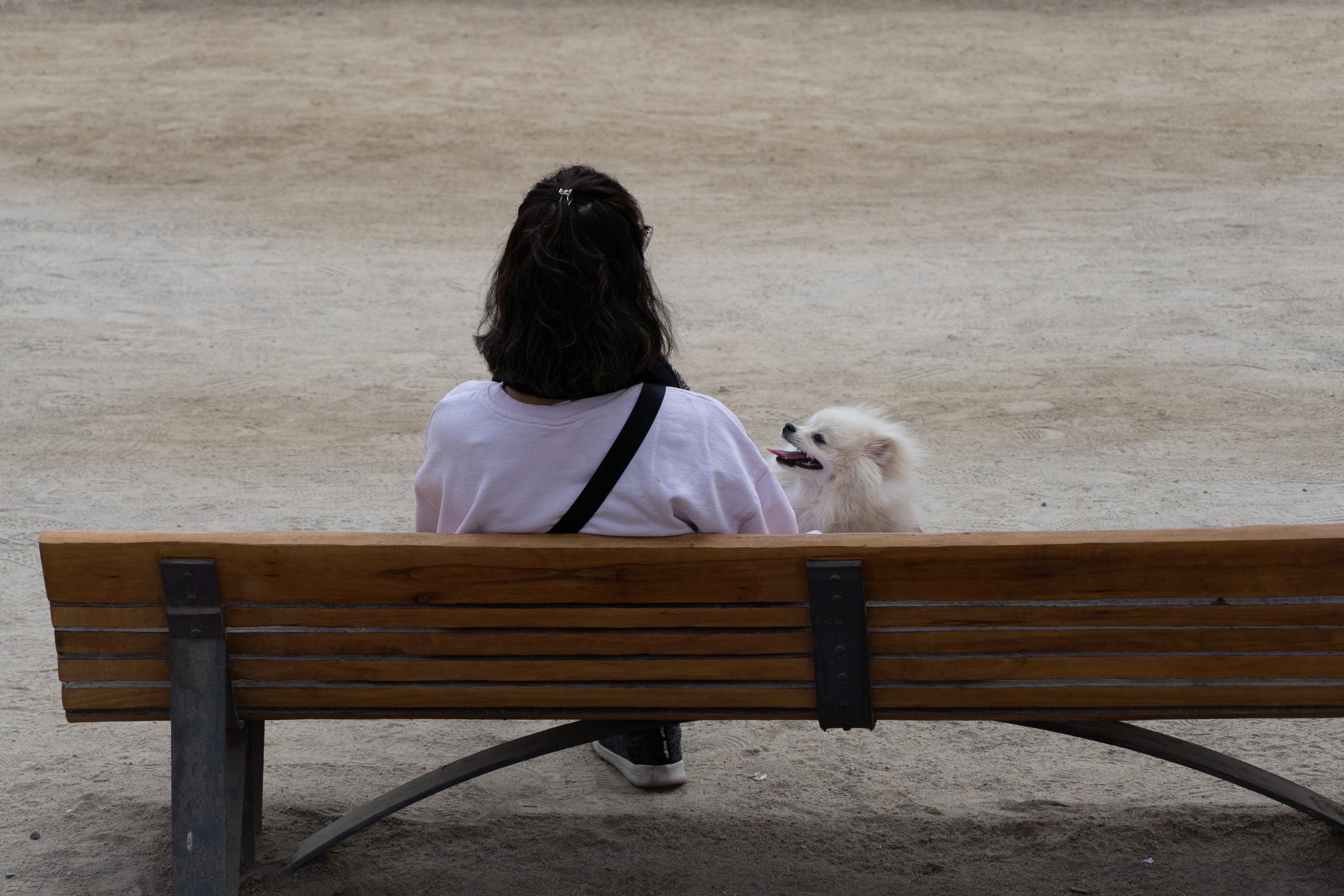 Eine junge Frau sitzt auf einer Bank, neben ihr ein weißer Hund (Symbolbild)