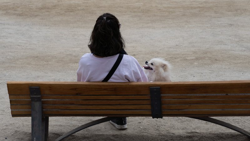 Eine junge Frau sitzt auf einer Bank, neben ihr ein weißer Hund (Symbolbild) | Bild: picture alliance / ZUMAPRESS.com | Matias Basualdo Eine junge Frau sitzt auf einer Bank, neben ihr ein weißer Hund (Symbolbild)