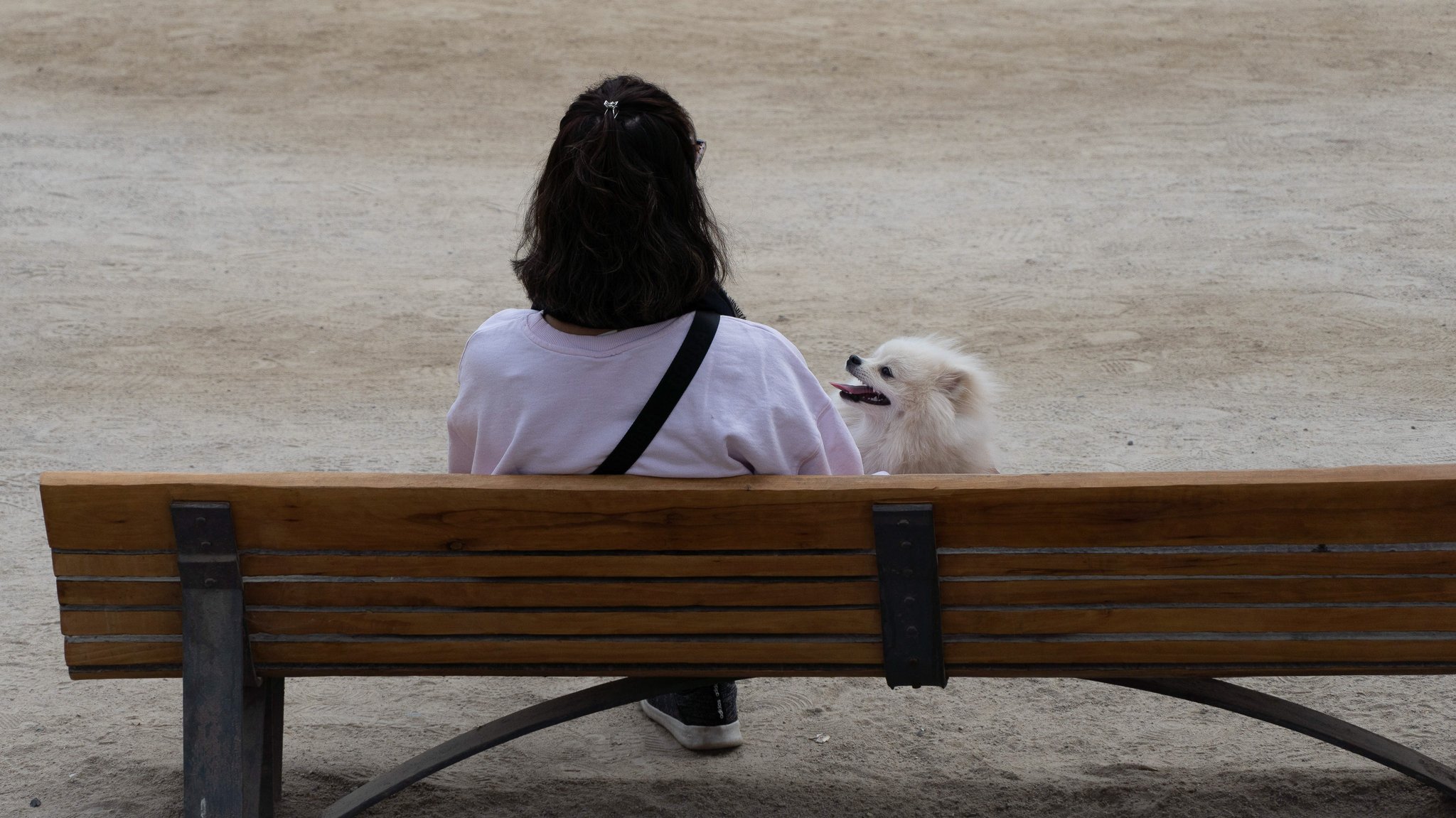 Eine junge Frau sitzt auf einer Bank, neben ihr ein weißer Hund (Symbolbild)