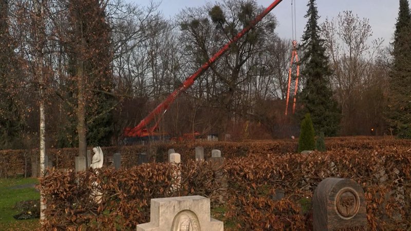 Fliegerbombe: 7.000 Münchner müssen evakuiert werden | Bild: BR Fliegerbombe: 7.000 Münchner müssen evakuiert werden