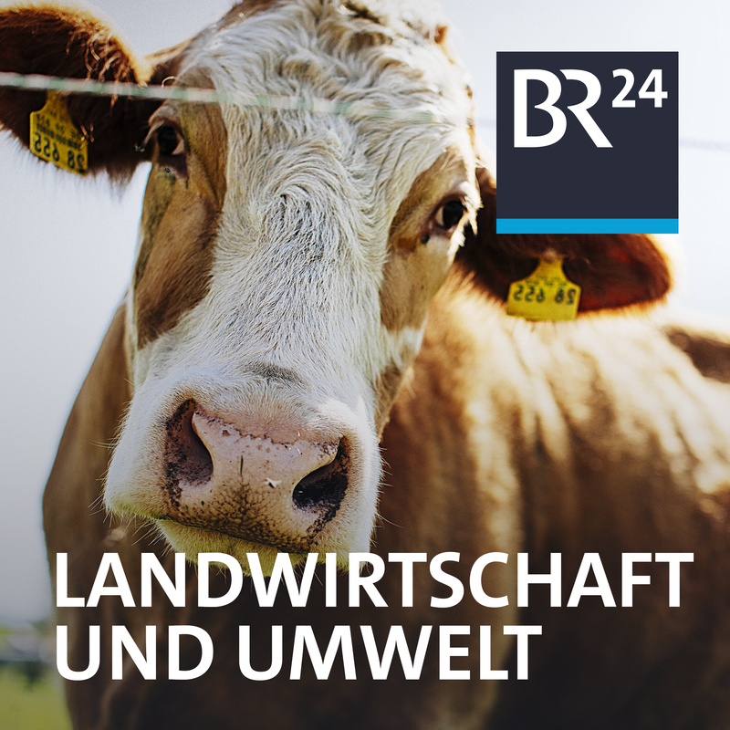 Auftakt der Grünen Woche im Schatten der Bauernproteste - Landwirtschaft und Umwelt | BR Podcast