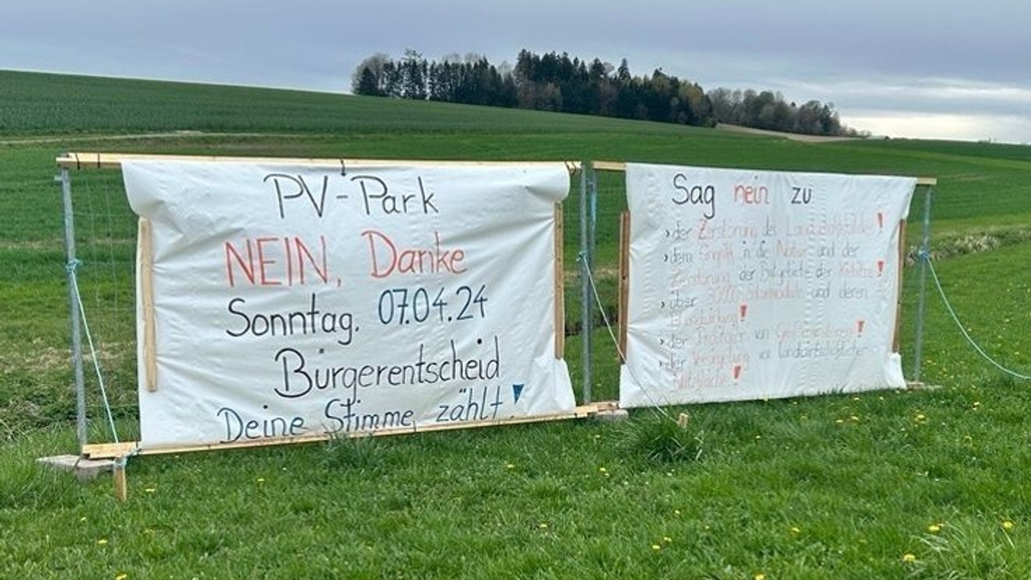 Schönau stimmt mit absoluter Mehrheit gegen Solarpark