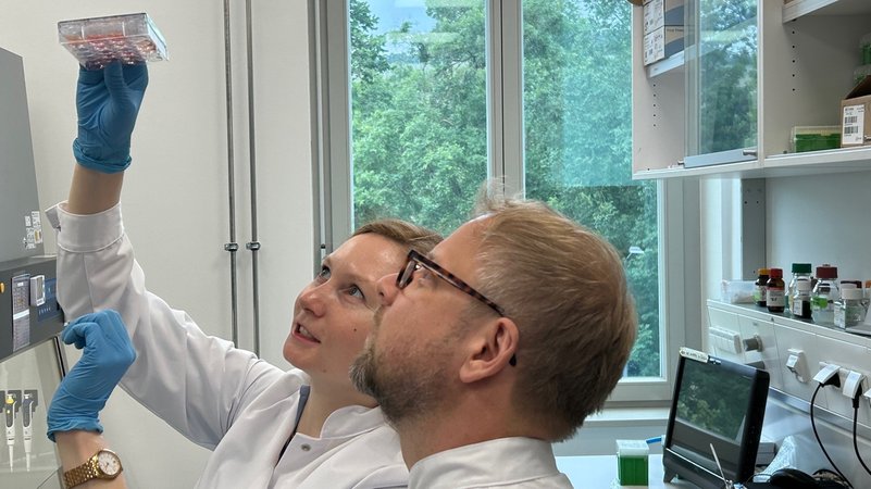 Die beiden Würzburger Forscher Florian Groeber-Becker und Amelie Reigl begutachten eine menschliche Zellkultur, die Tierversuche ersetzen soll
