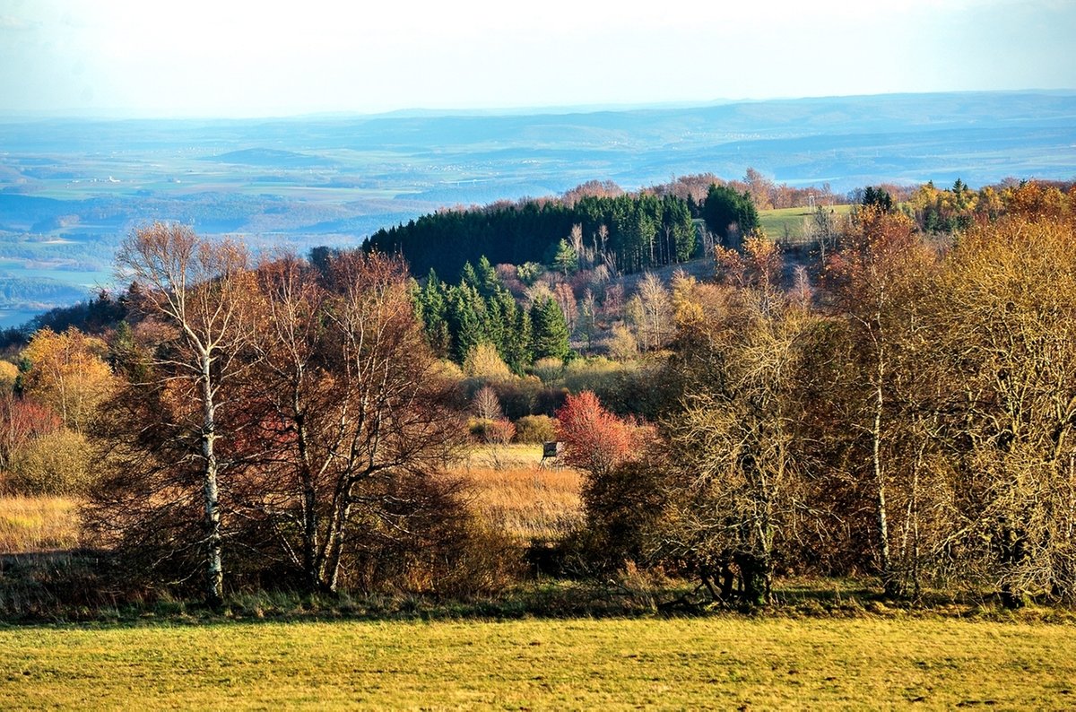 Grüne fordern weiterhin dritten Nationalpark in Bayern