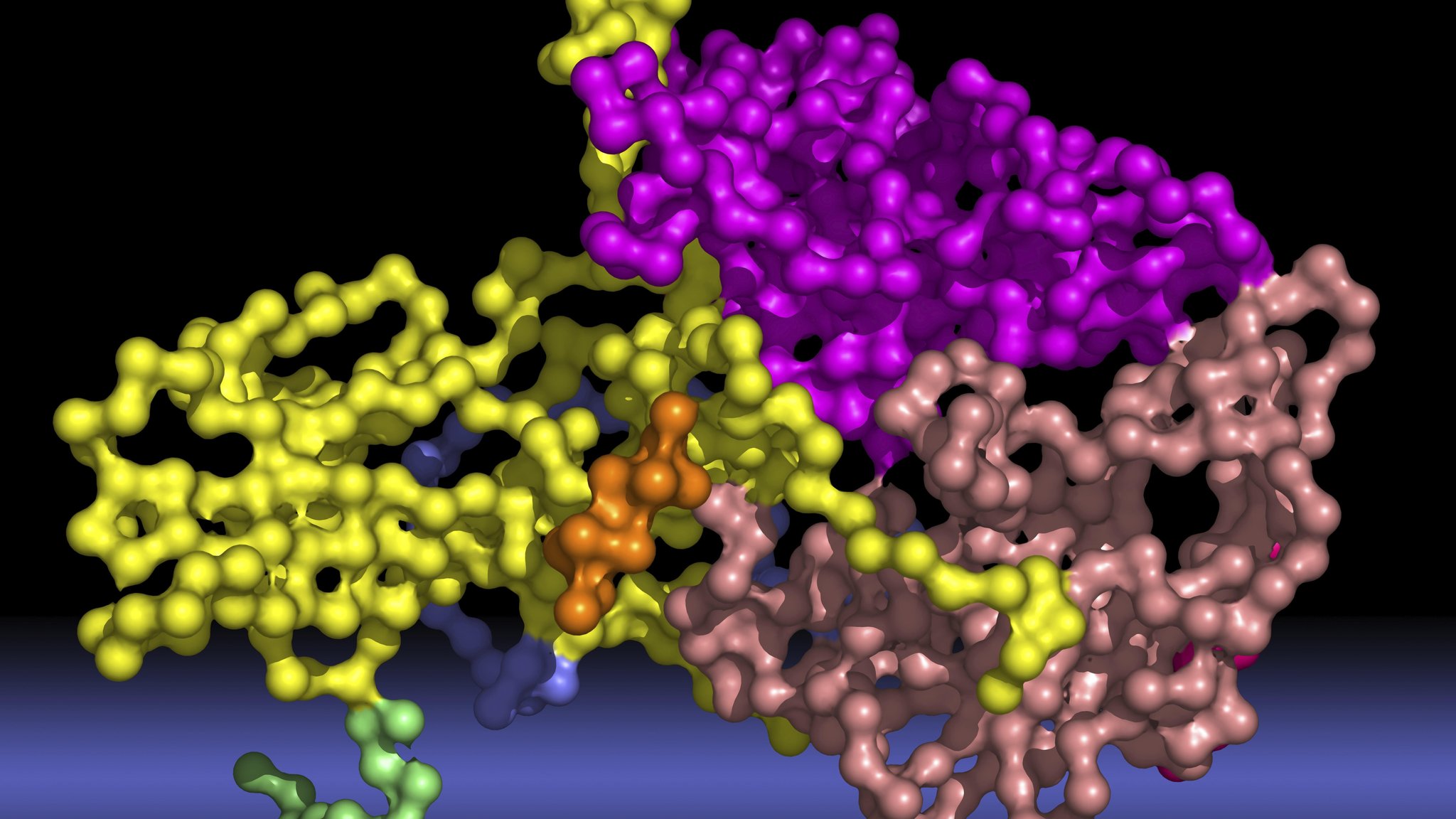 Darstellung des Polio-Virus