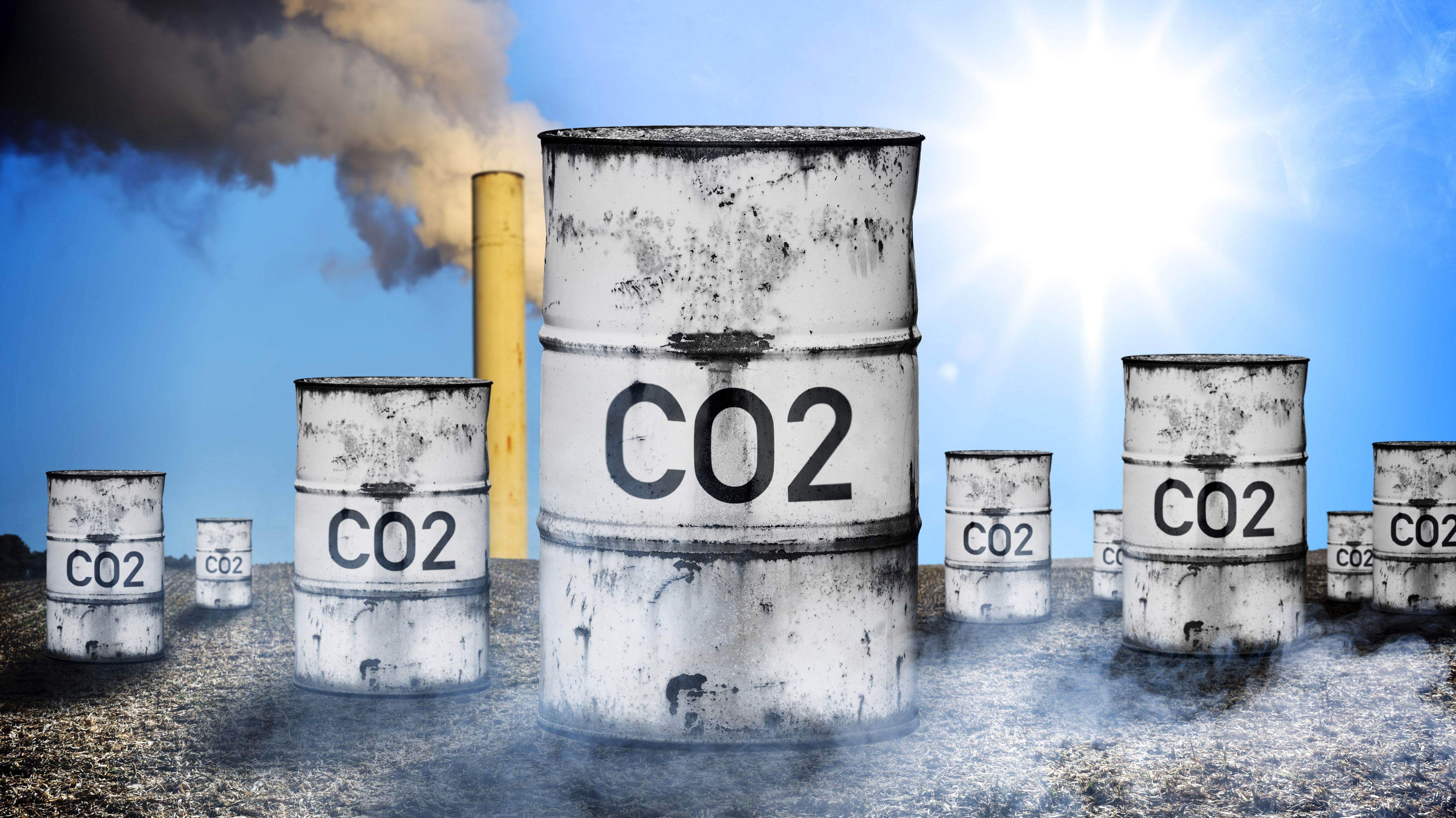 Klimaschutzer Rufen Burger Zur Co2 Fasten Challenge 2020 Auf Br24