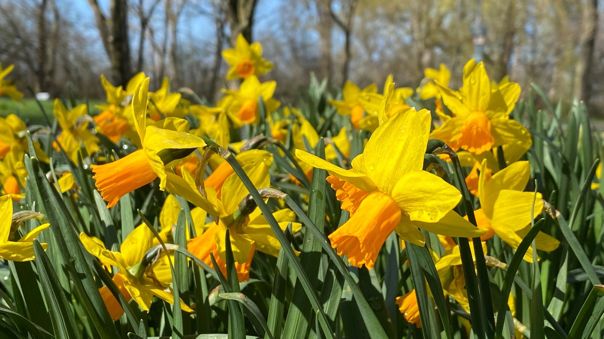 Wetter an Ostern: Oft freundlich und ungewöhnlich mild in Bayern