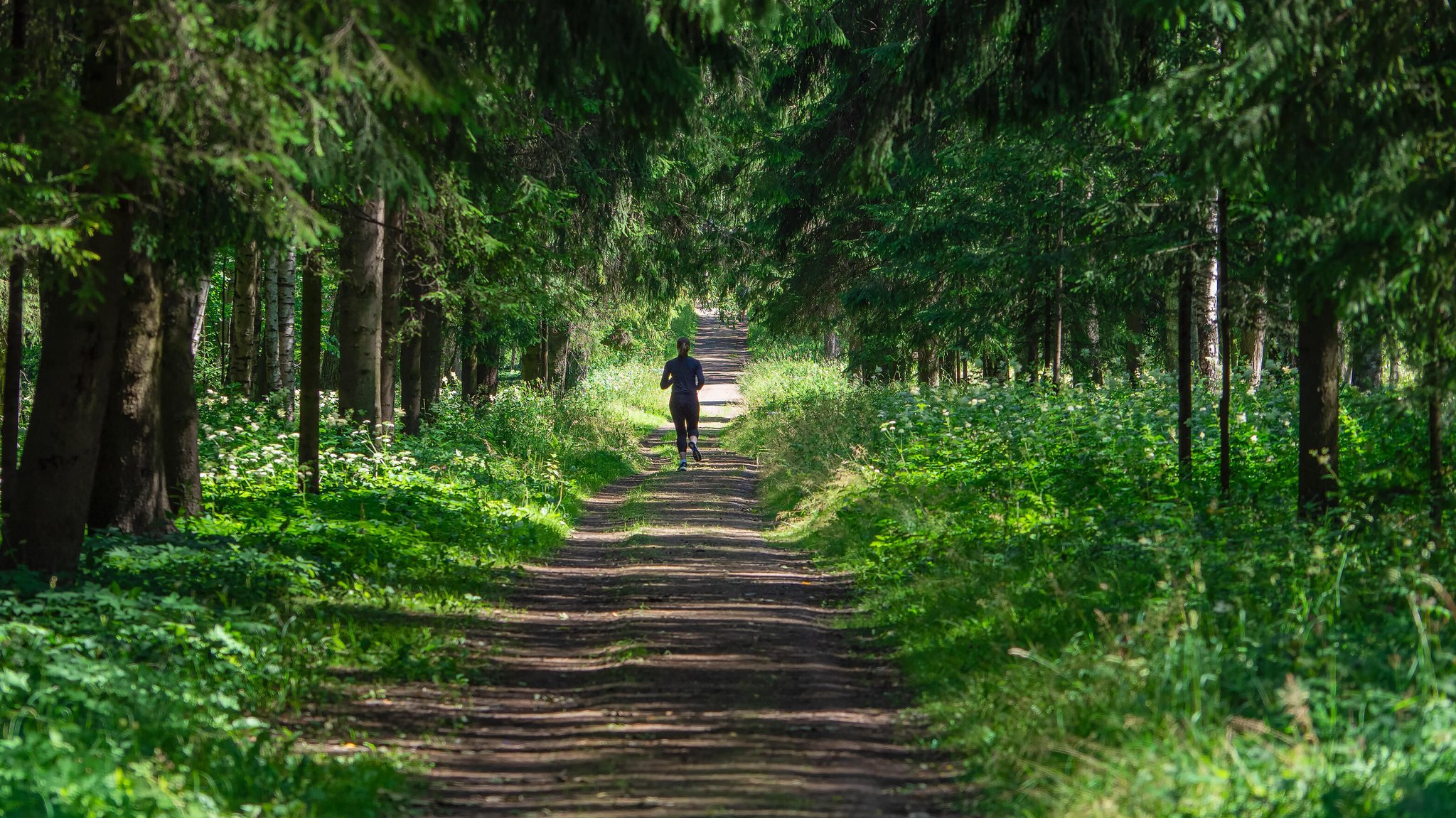 Symbolbild: Joggerin auf einem Waldweg