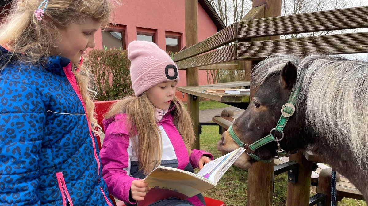 Mobile Lernwerkstatt an der Grundschule in Aub: Schülerin Lena liest einem Pony vor.