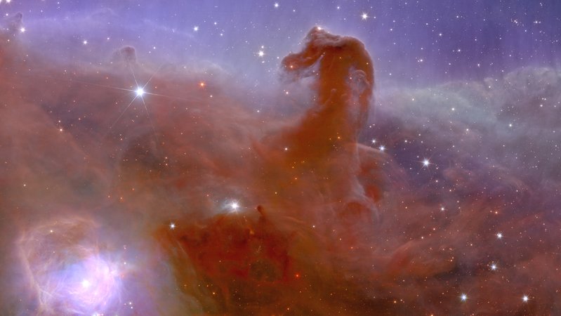 Bild des Pferdekopfnebels, rot gefärbt; Weltraumteleskop Euclid: Erste Kosmos-Bilder veröffentlicht