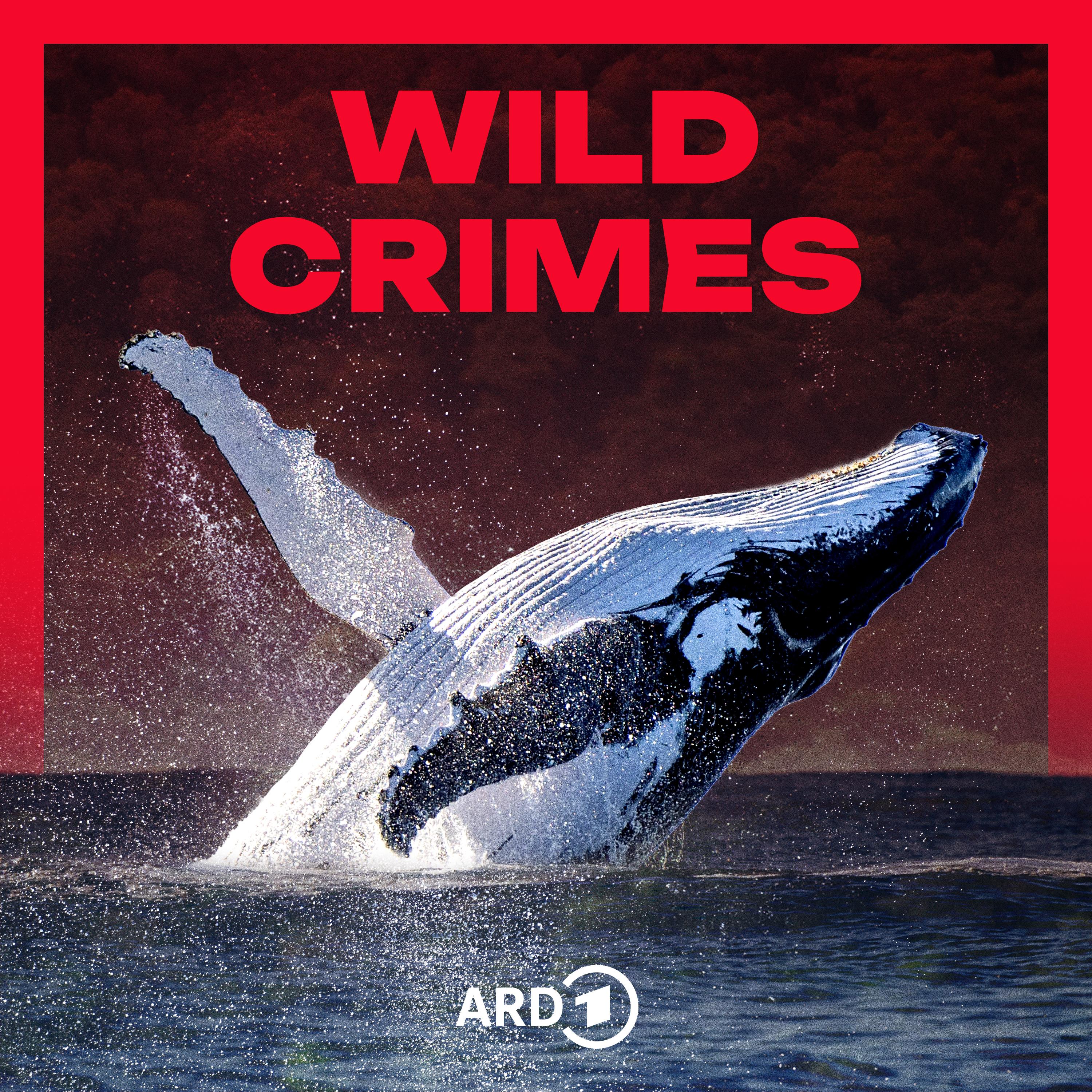 Artwork for Wild Crimes