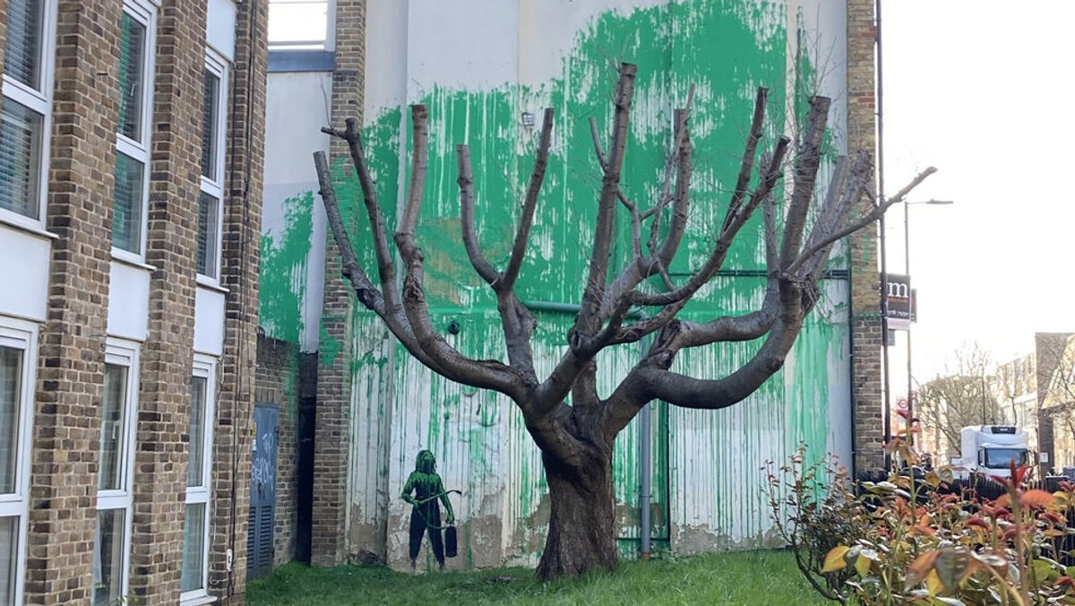 18.03.2024, Großbritannien, London: Auf eine Hauswand in der Hornsey Road in Finsbury Park, einem Stadtteil von London, wurde in großes Bild gemalt. Das Bild wurde hinter einen stark beschnittenen Baum gemalt und vermittelt den Eindruck, als würde der Baum Blätter tragen. Das Werk wird dem Straßenkünstler Banksy zugeschrieben. Foto: Ella Nunn/PA Wire/dpa +++ dpa-Bildfunk +++