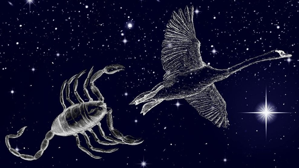 symbolische Darstellung der Sternilder Schwan (Cygnus) und Skorpion (Scorpio) vor dem Sternenhimmel