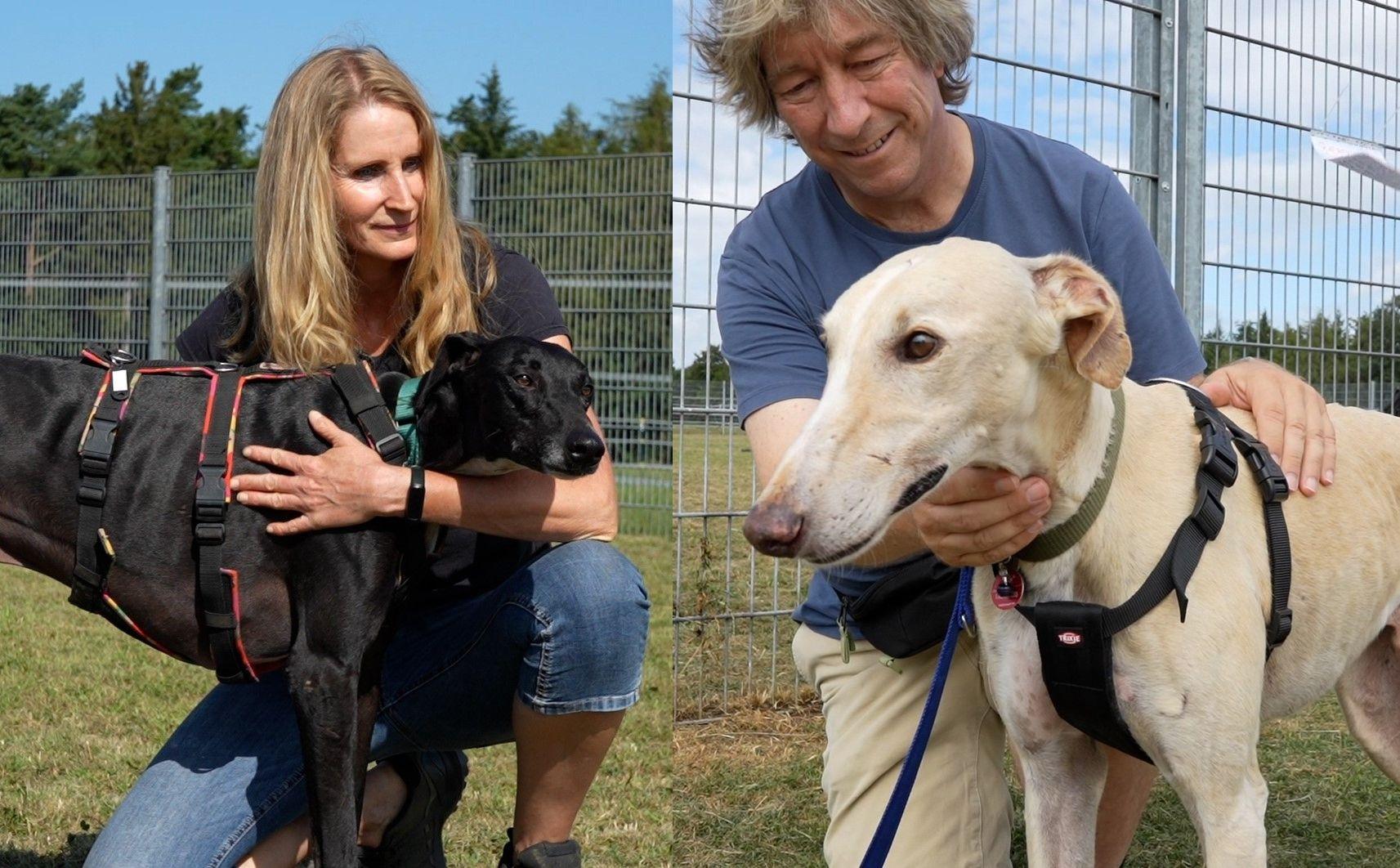 Eine Frau und ein Mann streicheln jeweils einen Hund. 