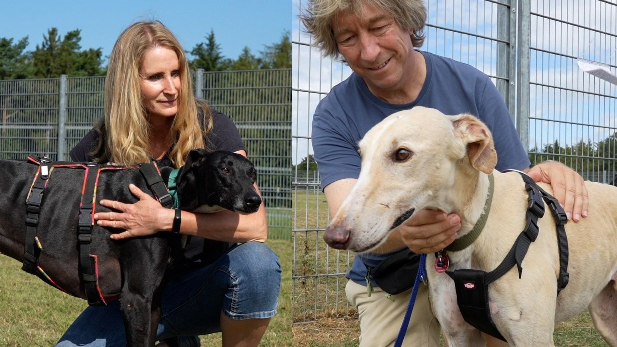 Eine Frau und ein Mann streicheln jeweils einen Hund. 