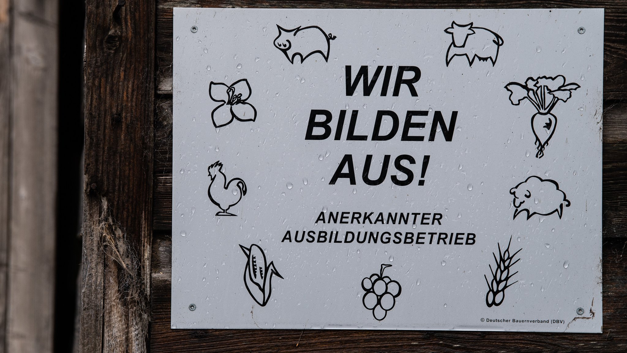 "Wir bilden aus" steht an einer Tafel an einem Kuhstall