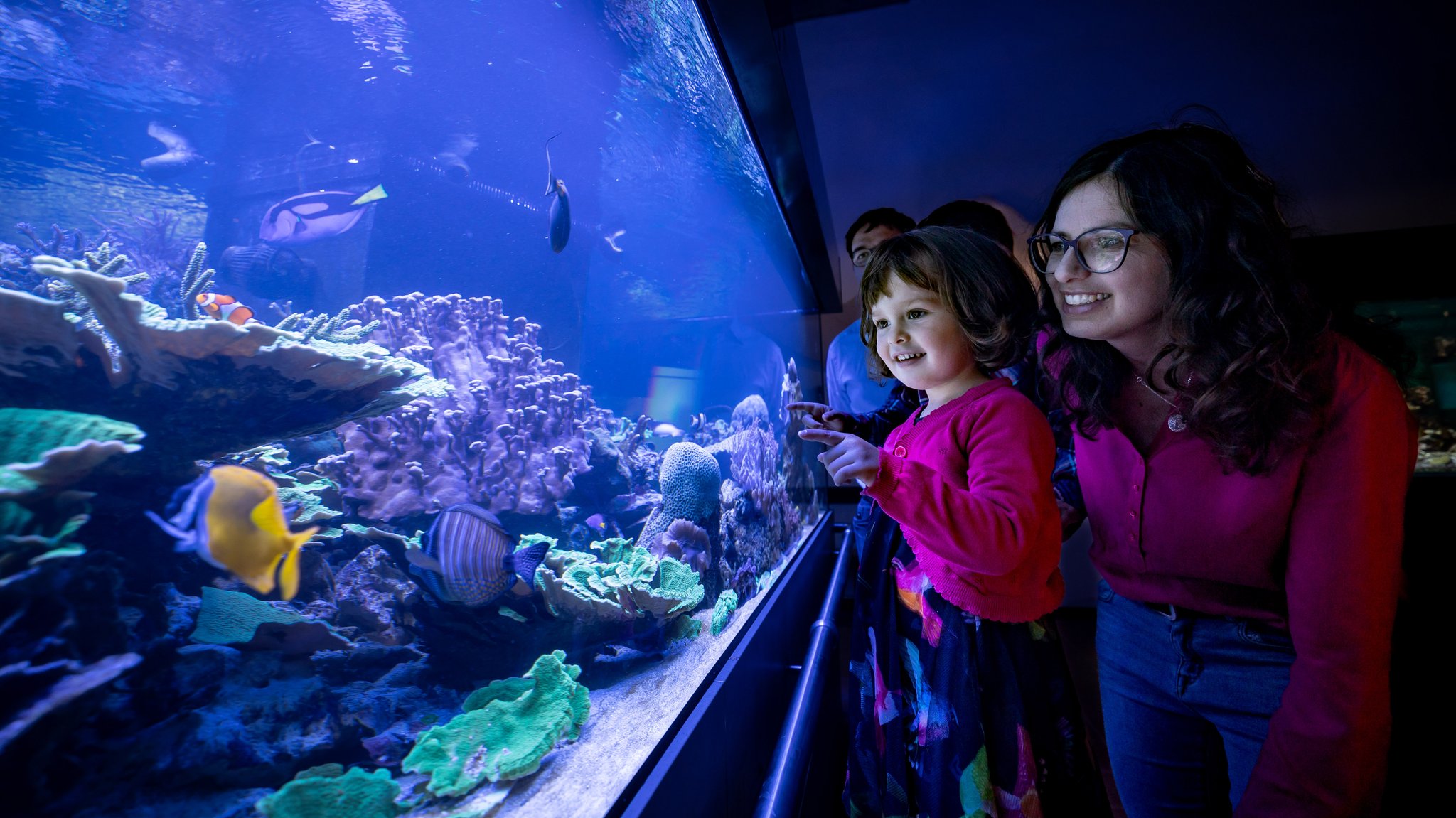 Menschen vor einem Aquarium mit Fischen und Korallen. 