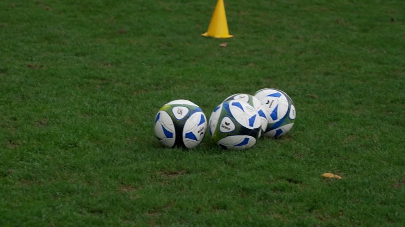 Fußbälle auf Rasen | Bild: Bayerischer Rundfunk 2024 Fußbälle auf Rasen