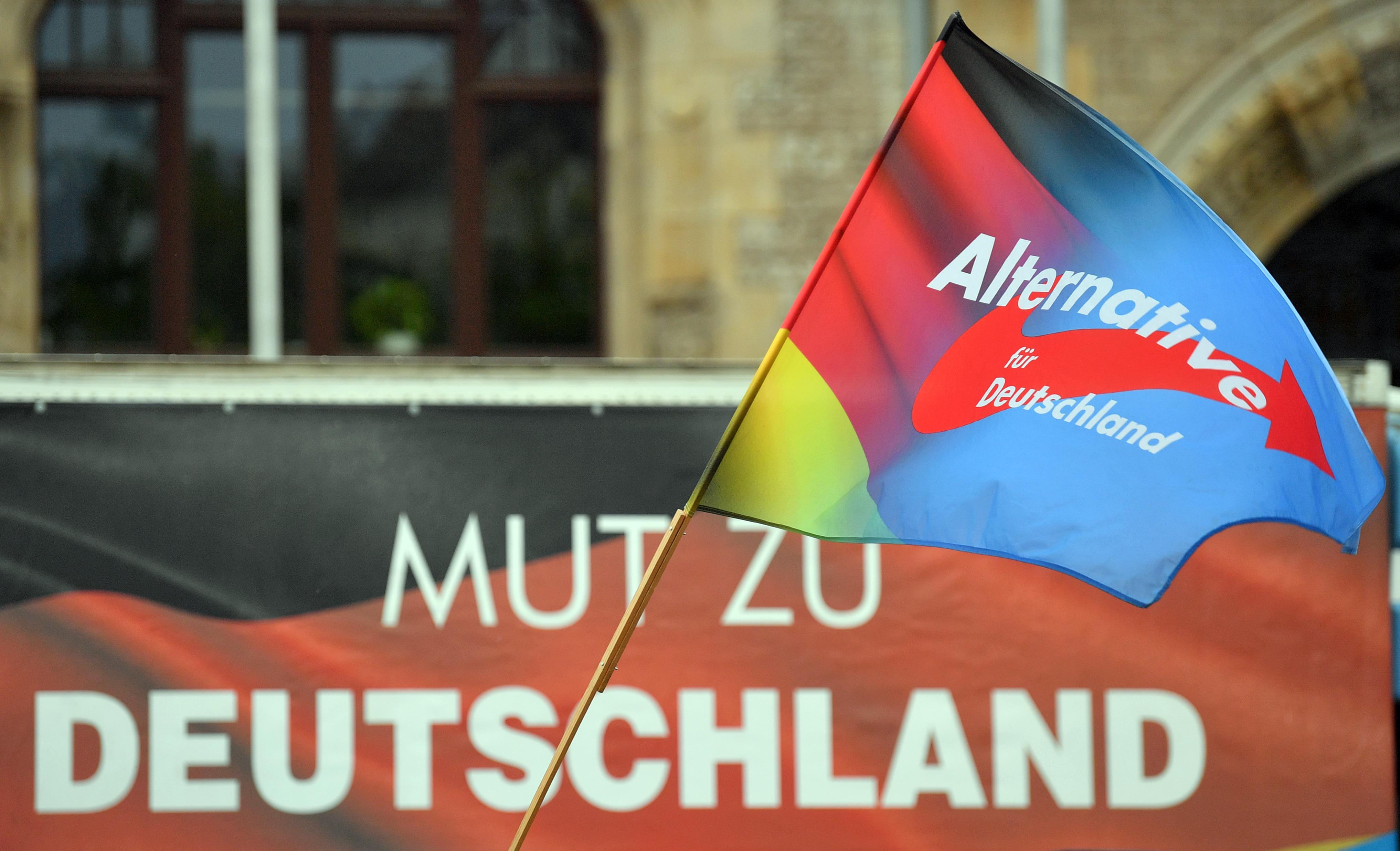 Fahne und Slogan der AfD